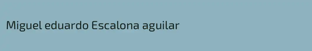 Miguel eduardo Escalona aguilar